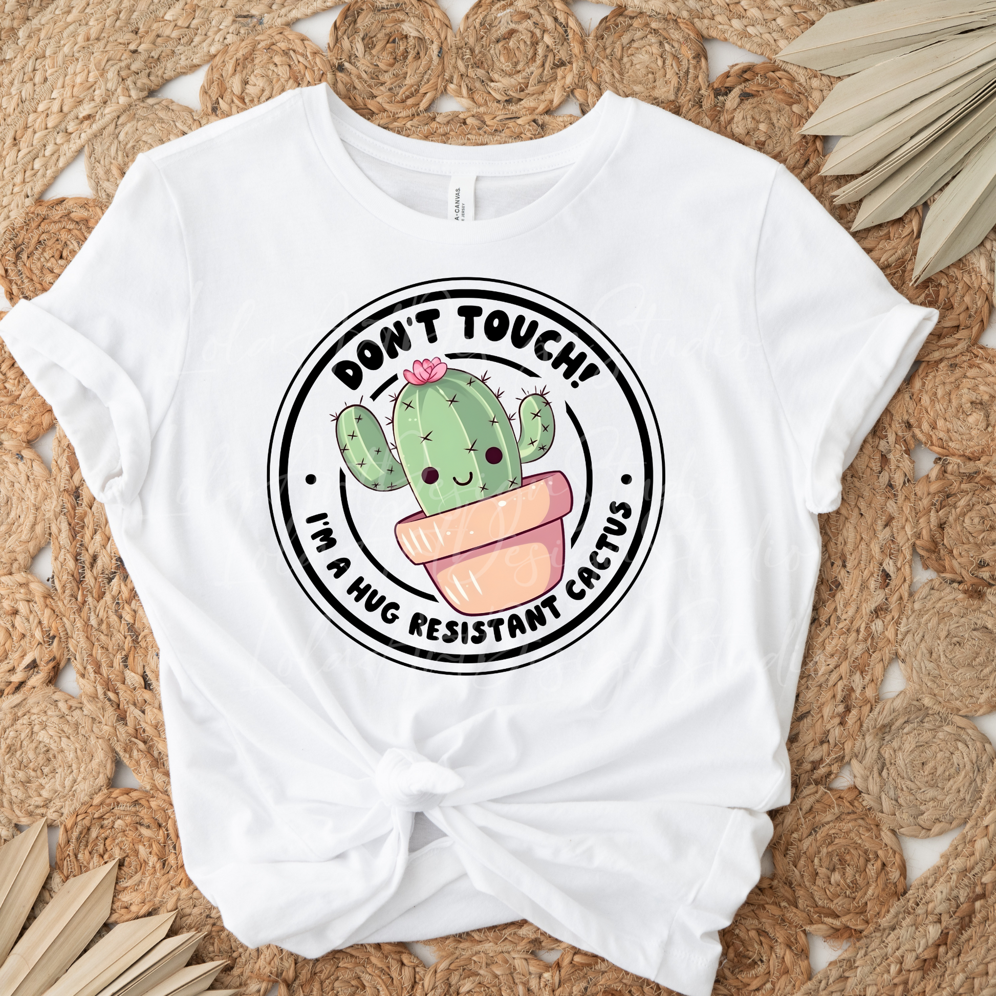 Funny Cactus Succulent Sublimation Design, Gardening Lover Png, Cacti Digital File for Sublimation, Don't Touch I'm Hug Resistant Cactus Png